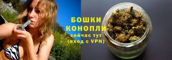 шишки Белокуриха